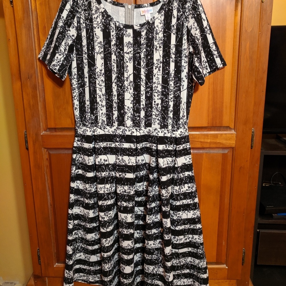 LulaRoe dress with zipper back